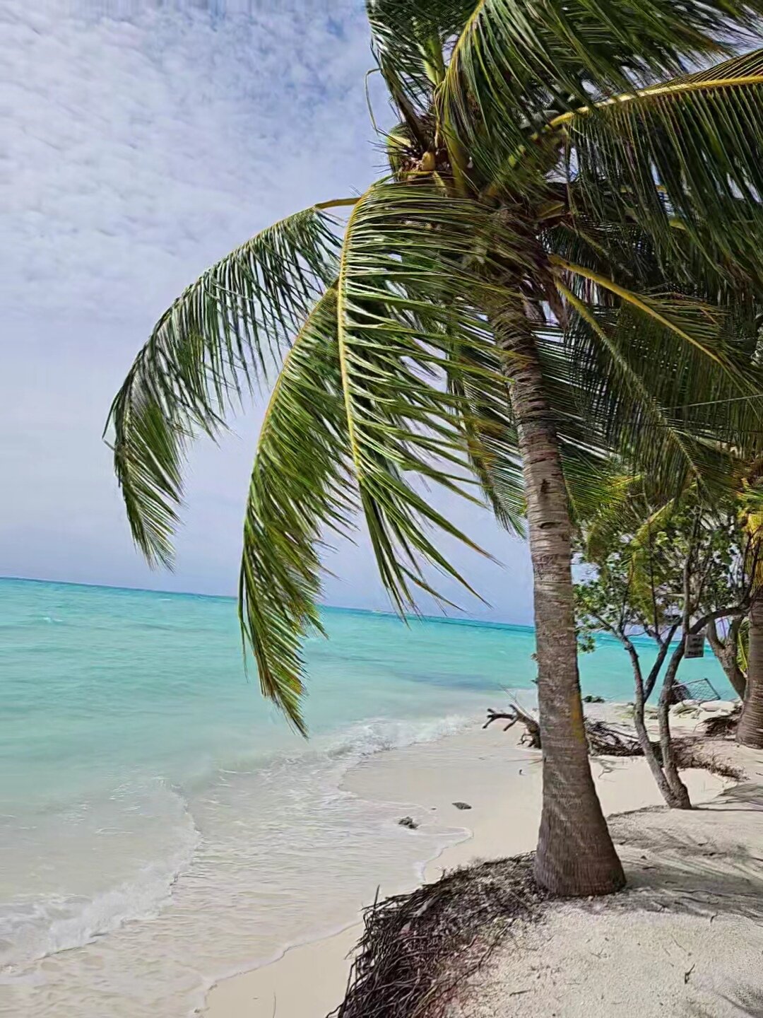 Crown Beach Hotel Maldives-泳池