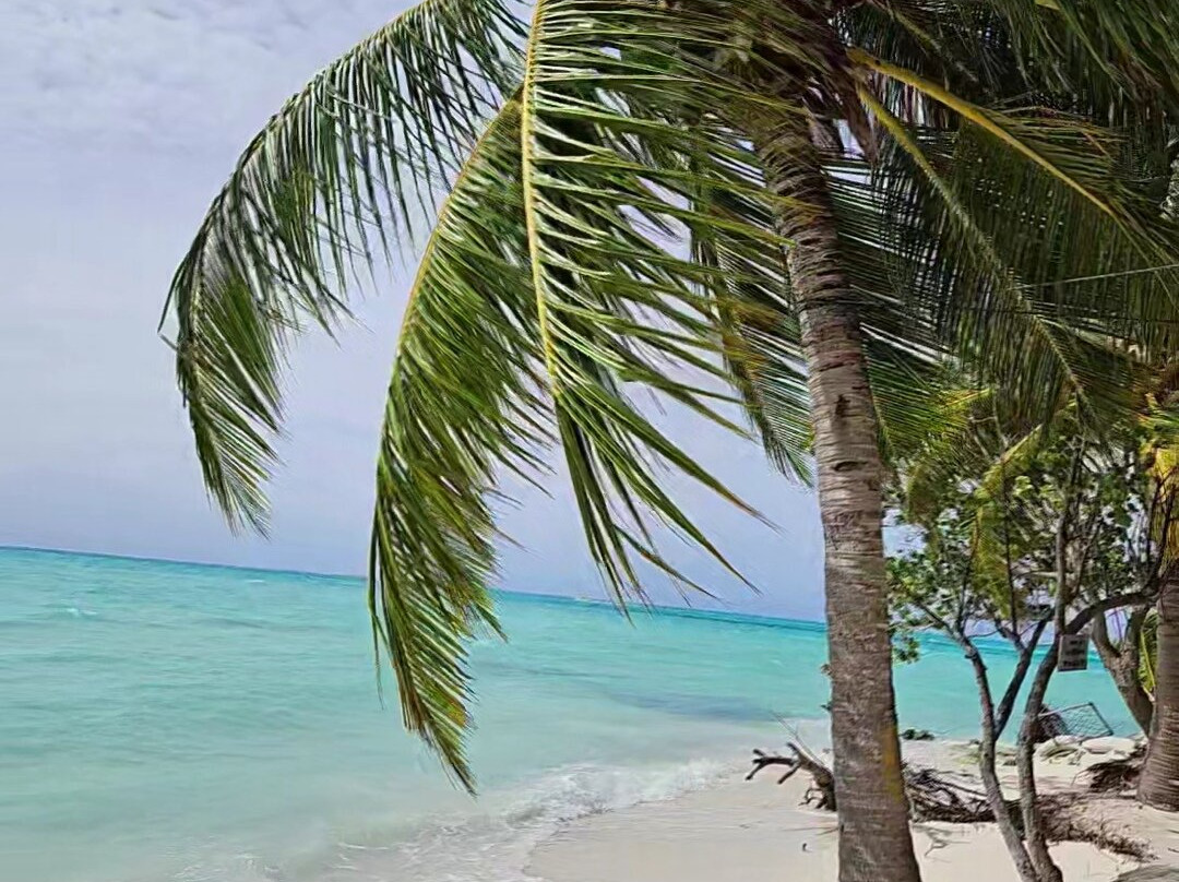 Crown Beach Hotel Maldives主图