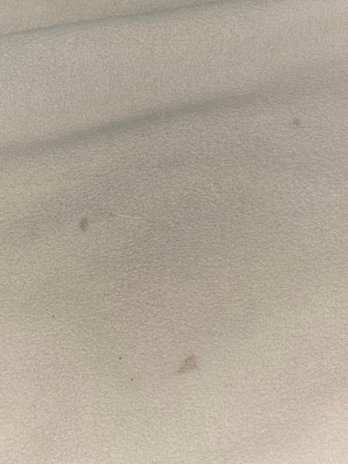 Super 8 by Wyndham Rainsville-客卧