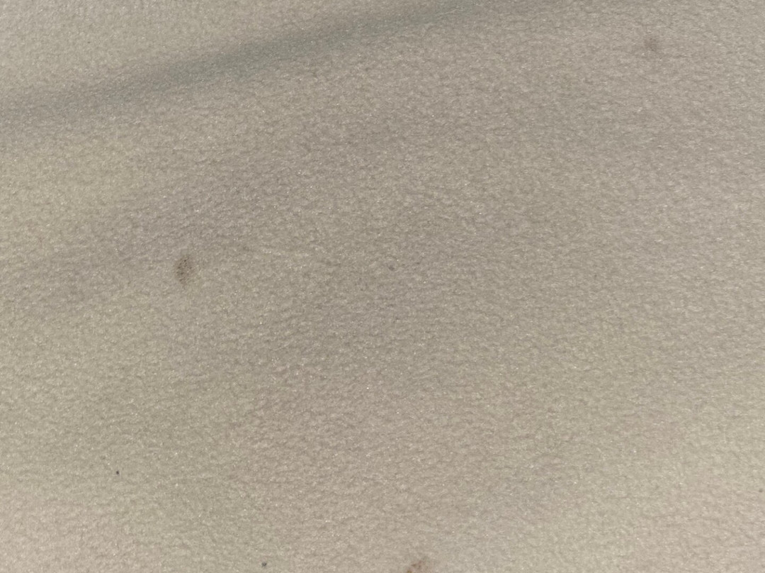 Super 8 by Wyndham Rainsville主图