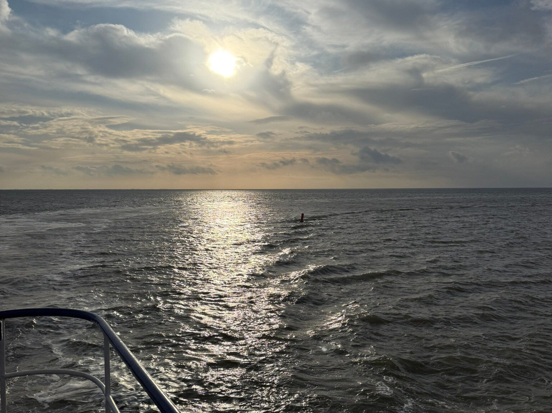 Zeehond Robbentocht-Nes必去景点