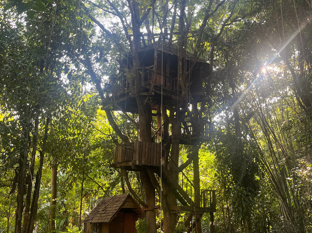 拉比昂帕萨克树屋度假村主图