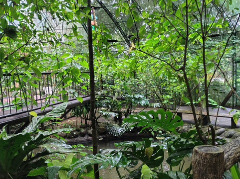 Natura Eco Park Costa Rica-福德圣卡洛斯必去景点