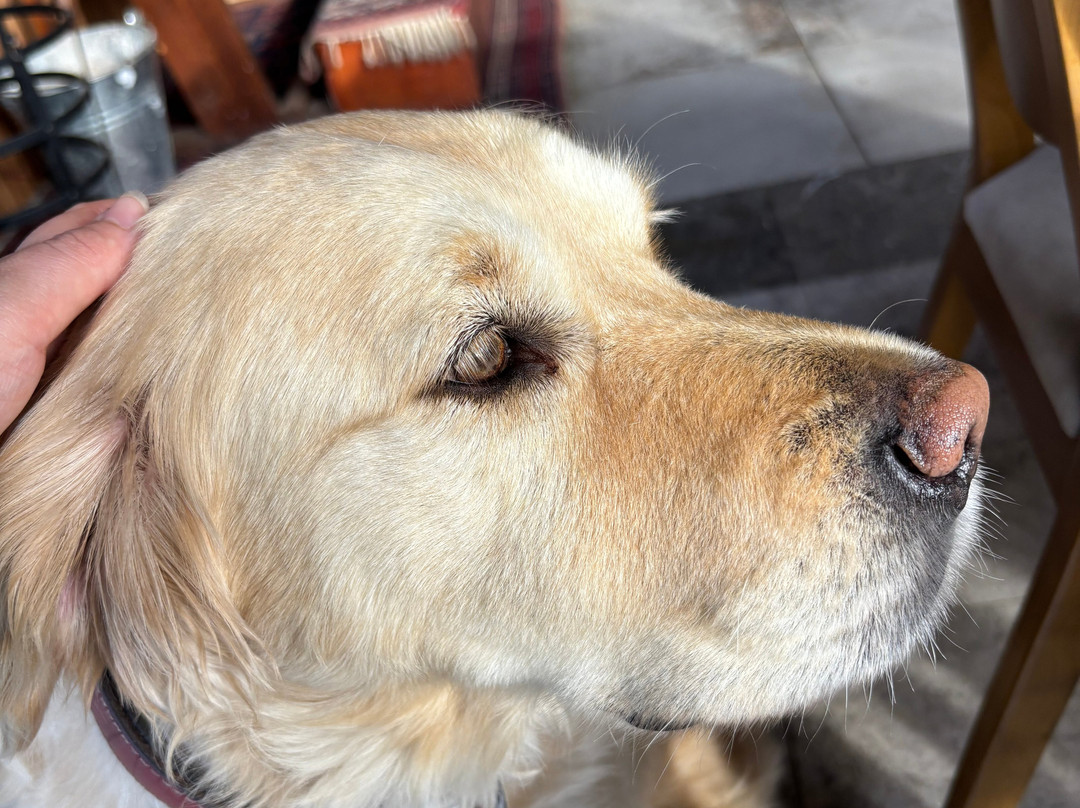 1774 Kazdagi Termal Butik Otel主图