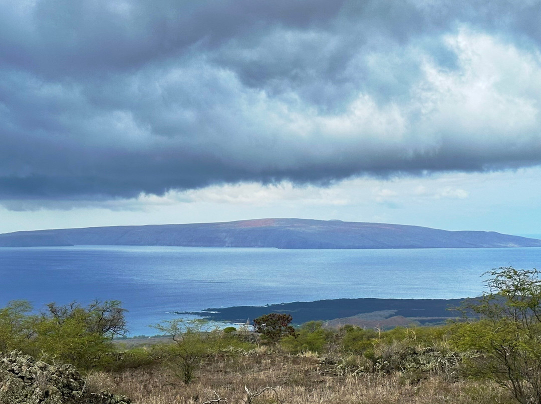 Triple L Ranch Horseback Tours-库拉必去景点