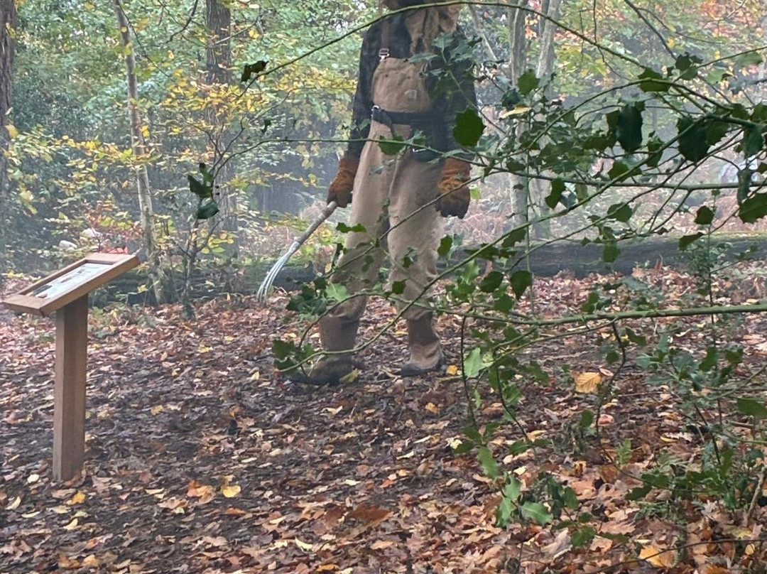 温德米尔布罗克霍尔湖-温德米尔必去景点