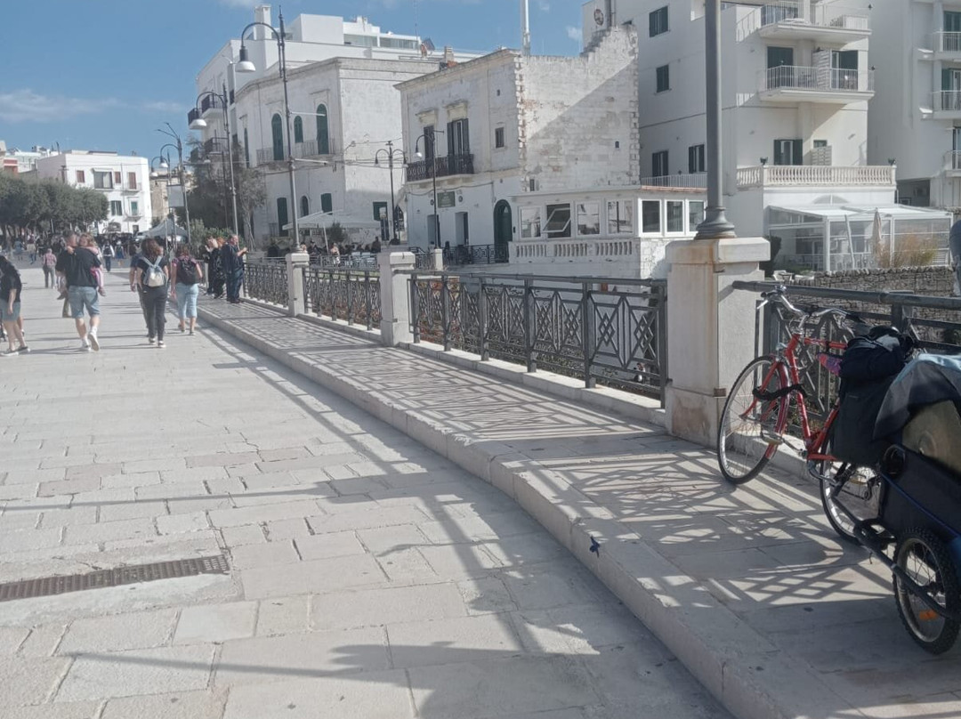 Ponte Borbonico di Lama Monachile-波利尼亚诺阿马雷必去景点