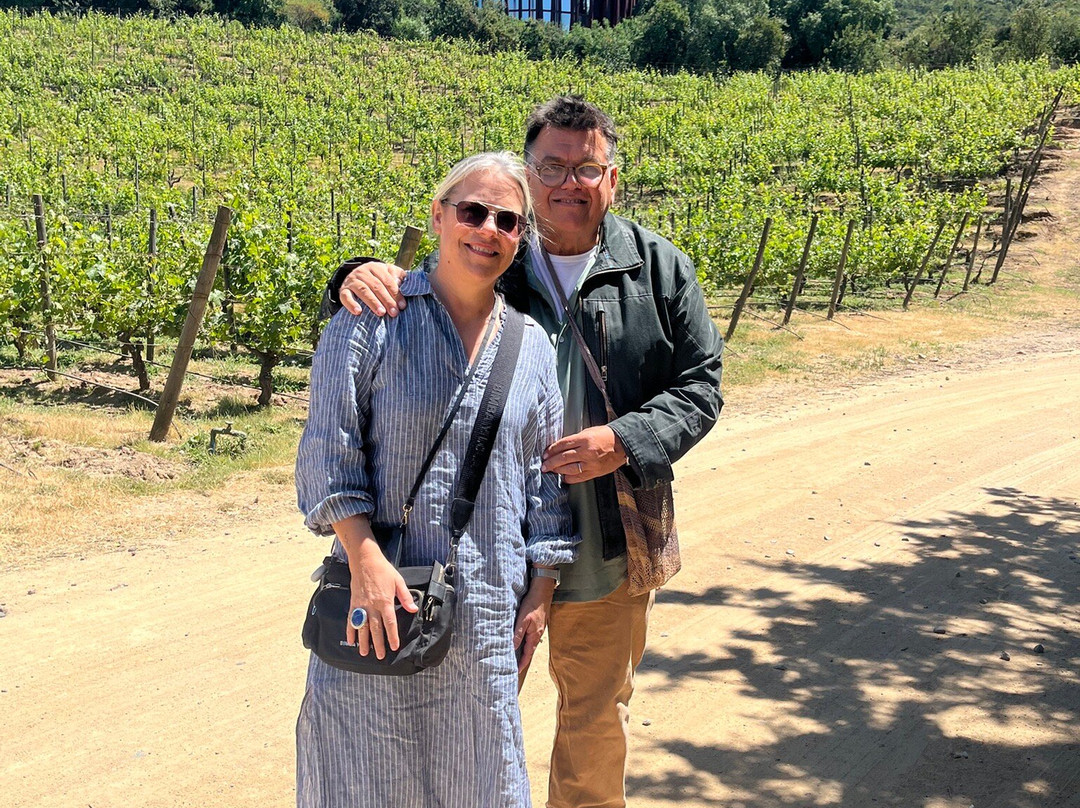 Clos Apalta-圣克鲁斯必去景点