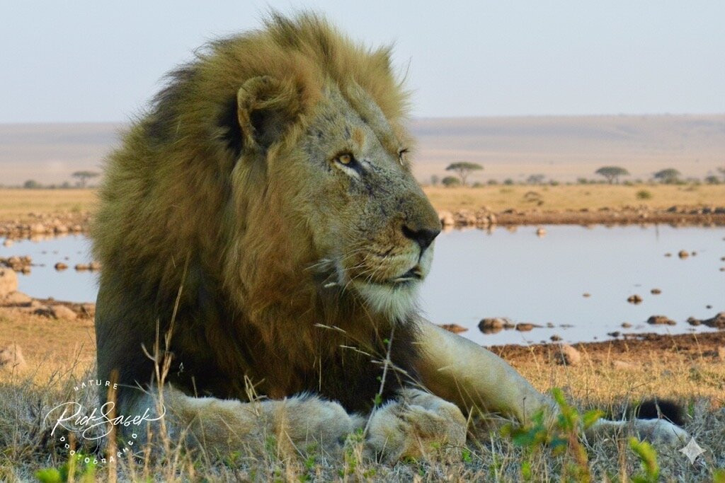 Rhulani Safaris-霍德斯普鲁特必去景点