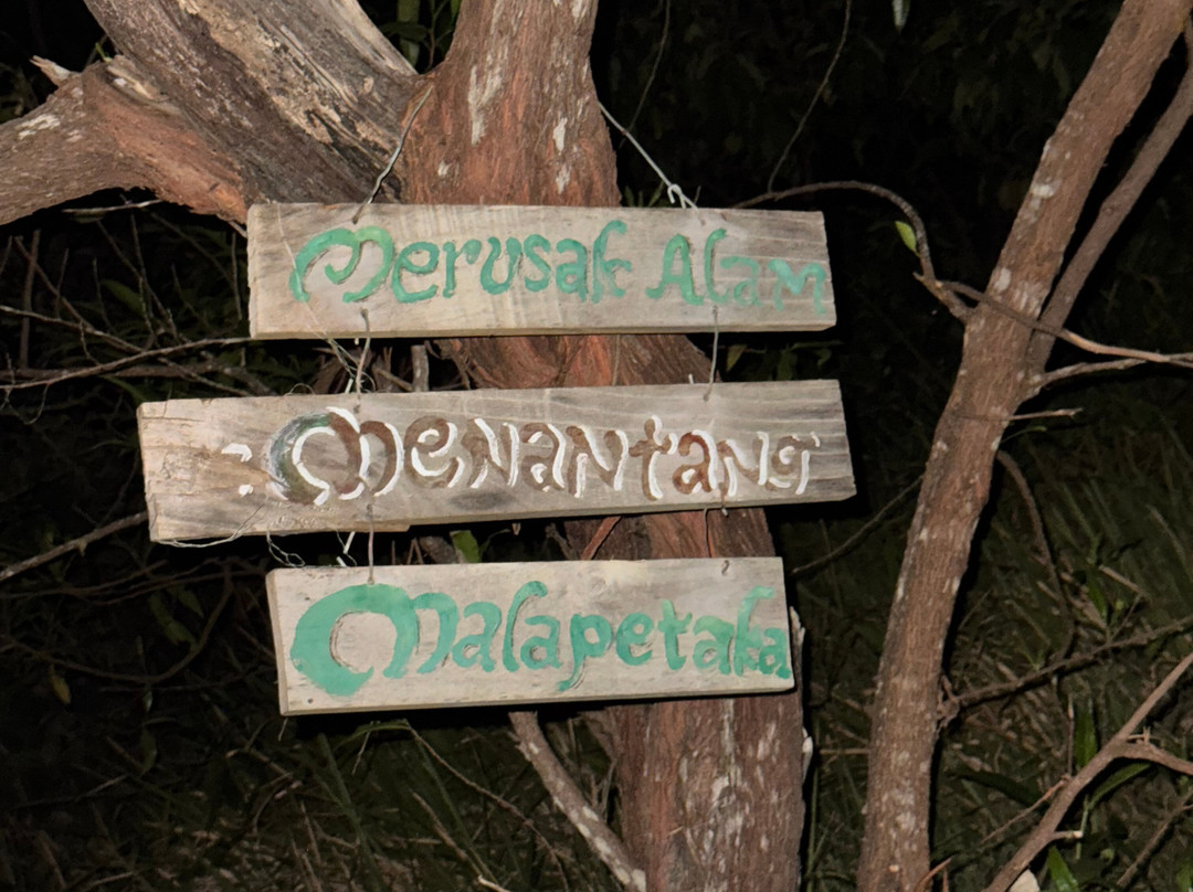 Wayan Darta Mount Agung Trekking-曼吉斯必去景点