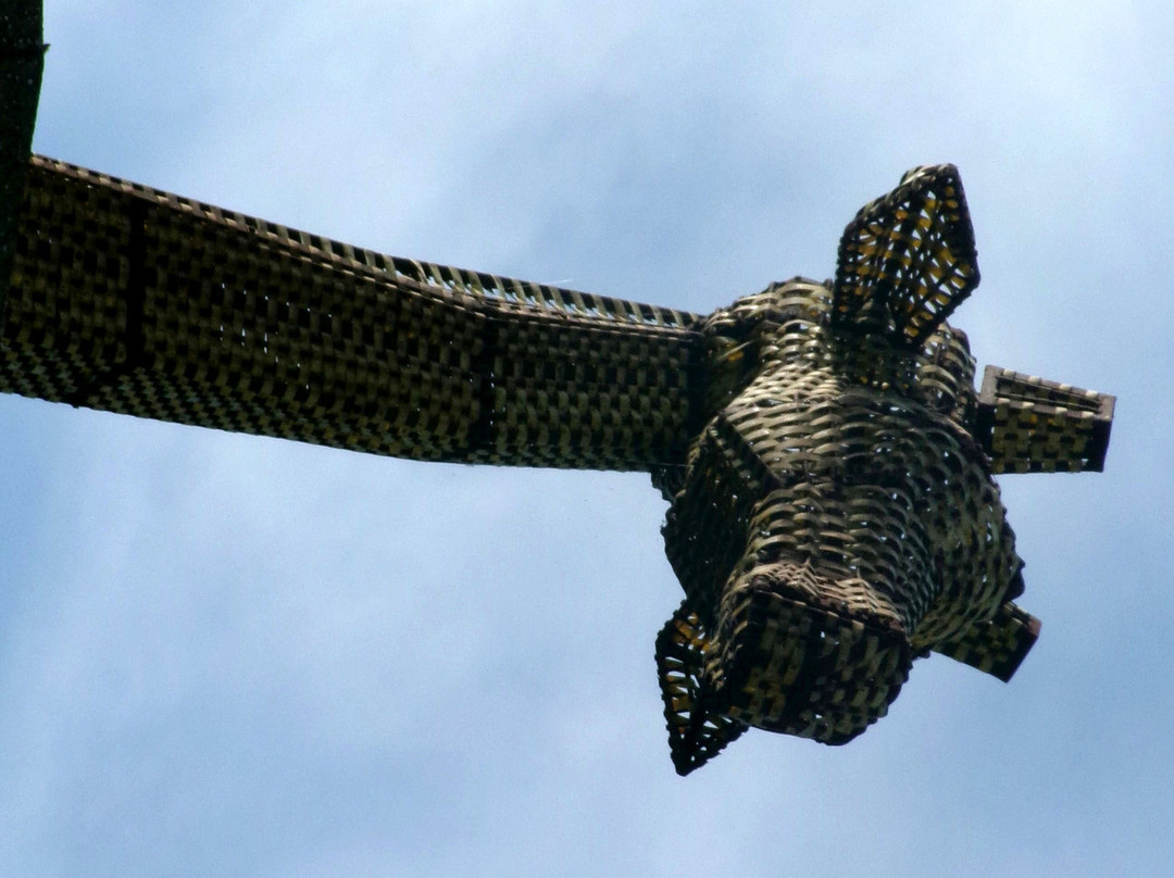 Sarafa the Ely Giraffe-伊利必去景点