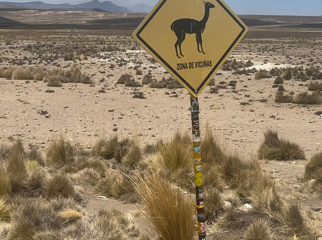 Salinas y Aguada Blanca National Reserve-阿雷基帕必去景点