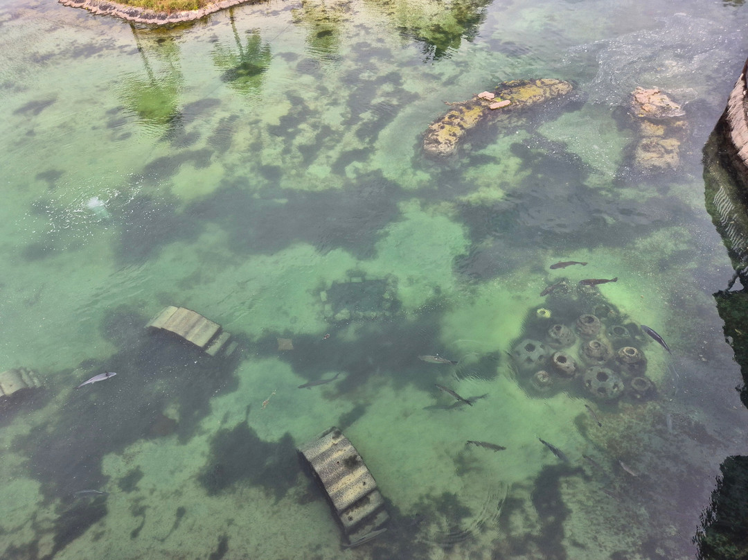 Florida Oceanographic Coastal Center-斯图尔特必去景点