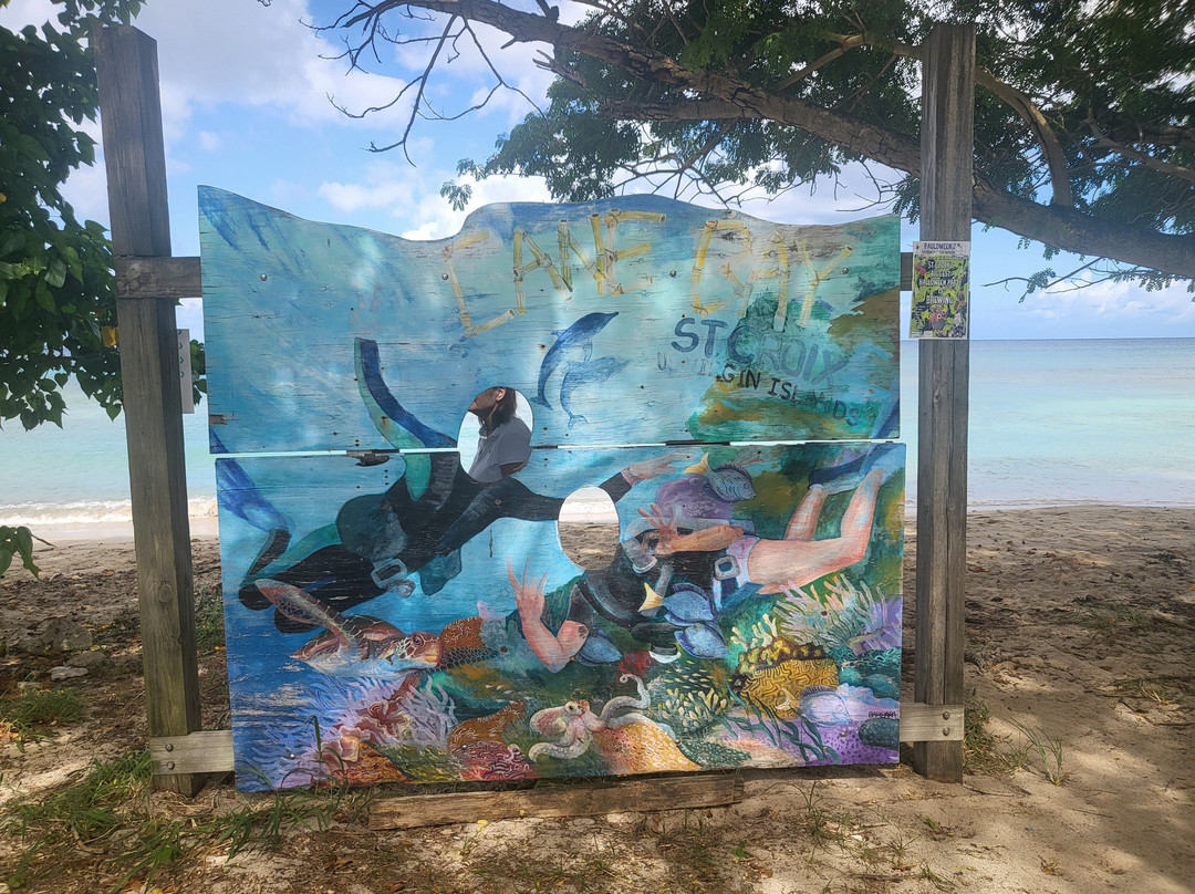 Cane Bay-圣克鲁斯必去景点