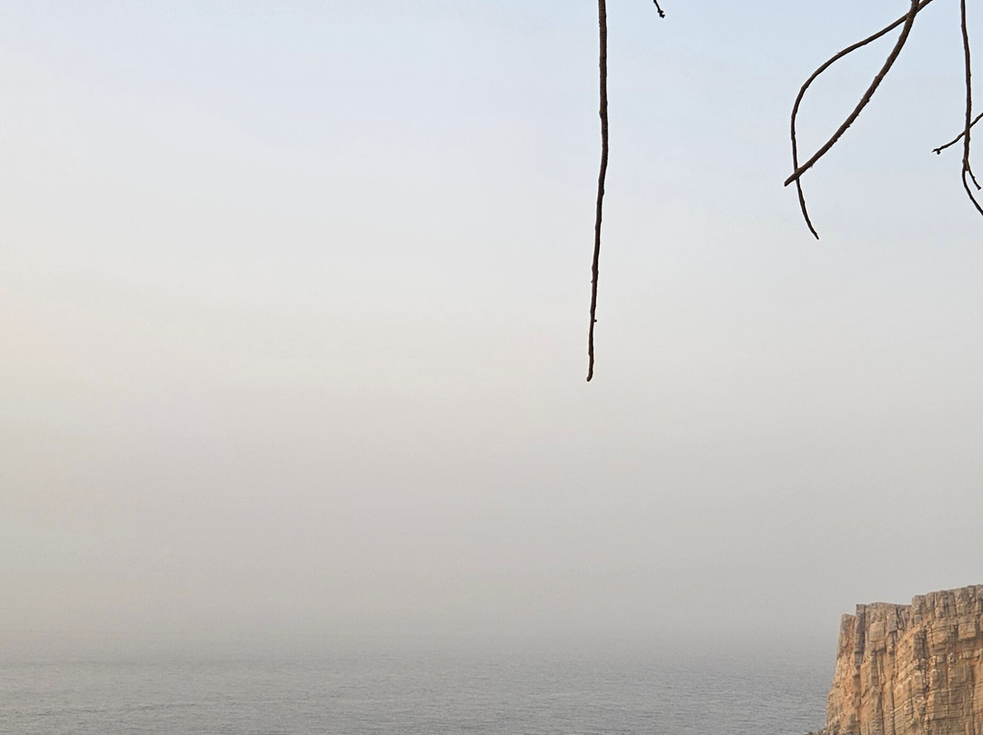 Aladdin Lamp Tours-迪拜必去景点