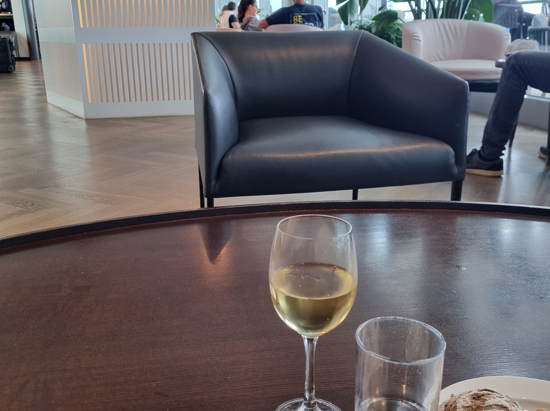 Aspire Lounge at Zurich Airport-奥普菲孔必去景点