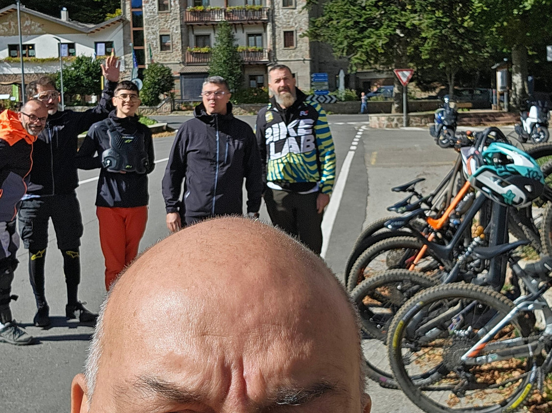 La Corteccia del Faggio