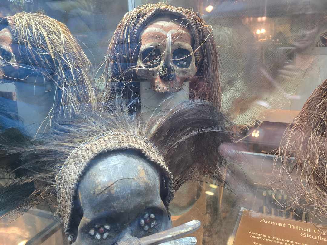 The Museum Of Curiosities-诺丁汉必去景点