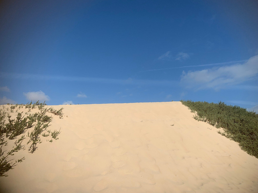 Dunas De Corrallejo-科拉雷侯必去景点