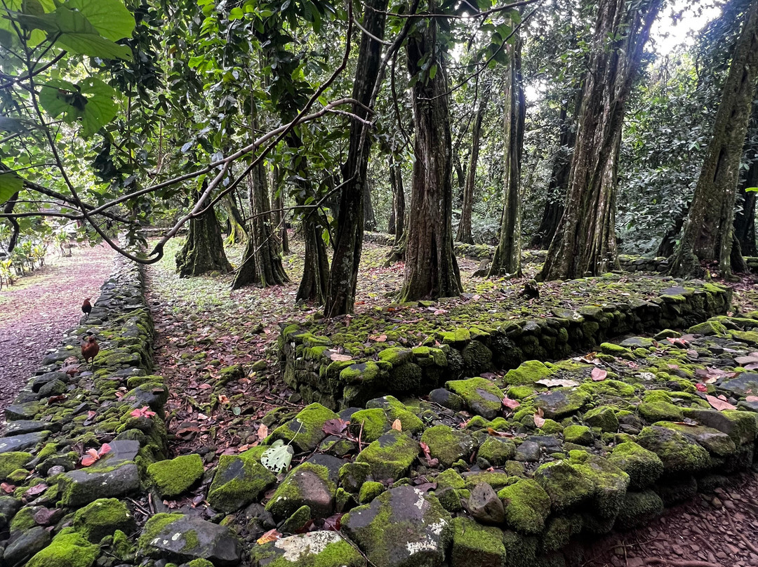 莫雷阿岛ATV之旅-莫雷阿岛必去景点