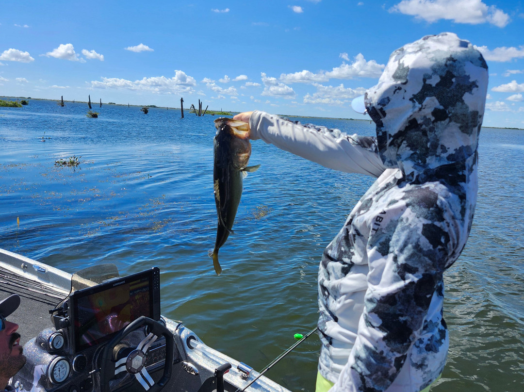 Okeechobee Bass Guide Service-奥基乔比必去景点