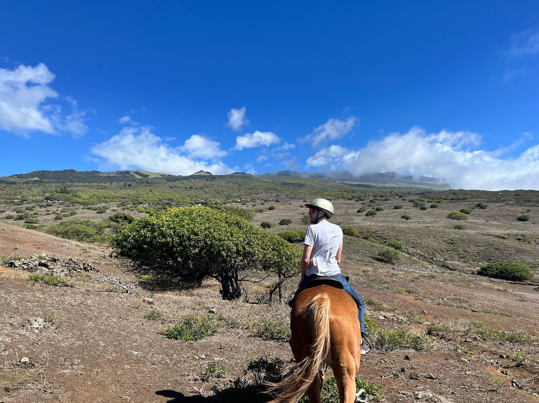 Triple L Ranch Horseback Tours-库拉必去景点