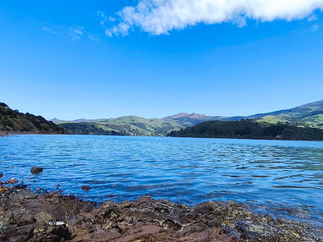 Onawe Track-Duvauchelle必去景点