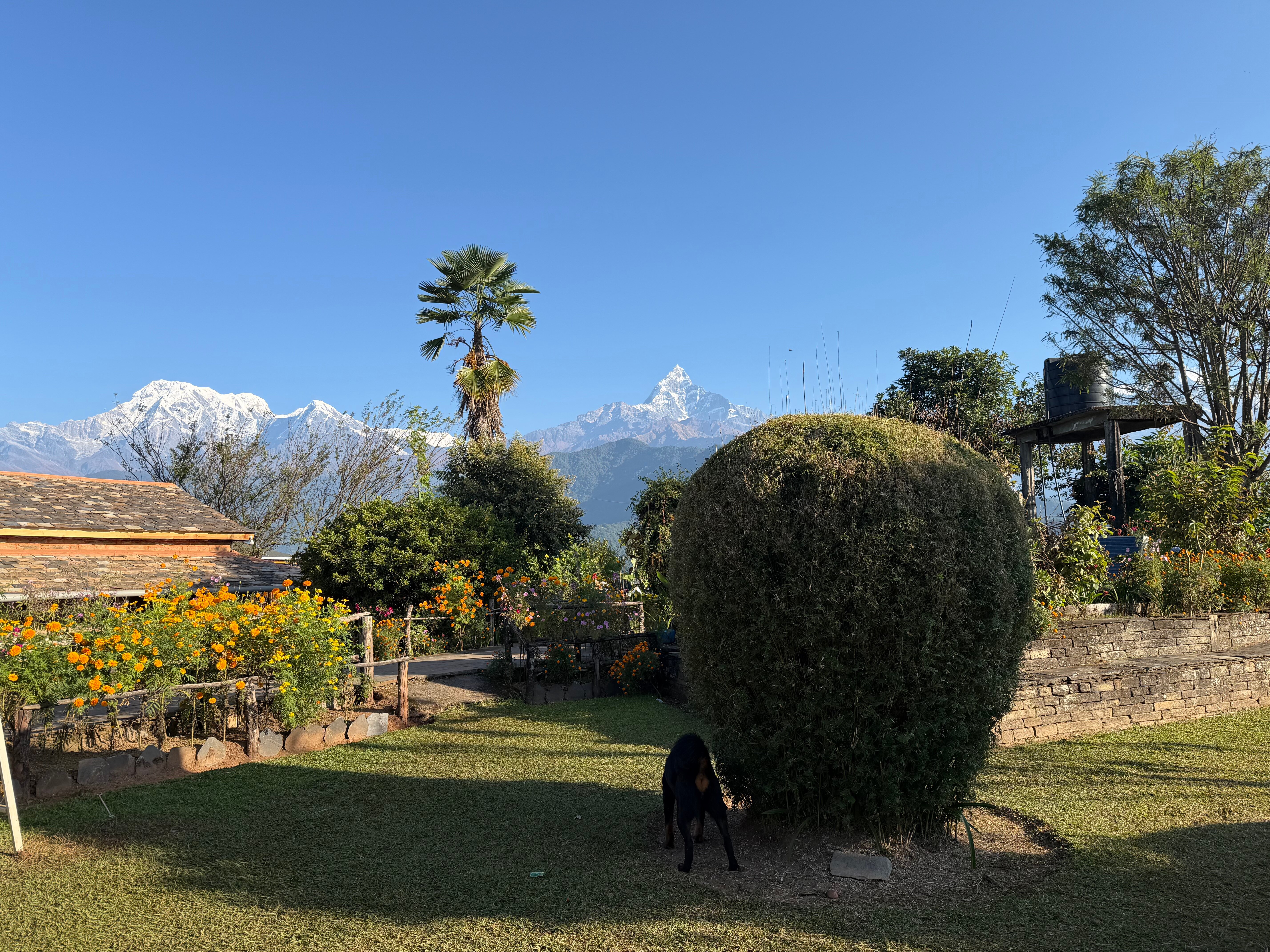 Annapurna Eco-Village-官方