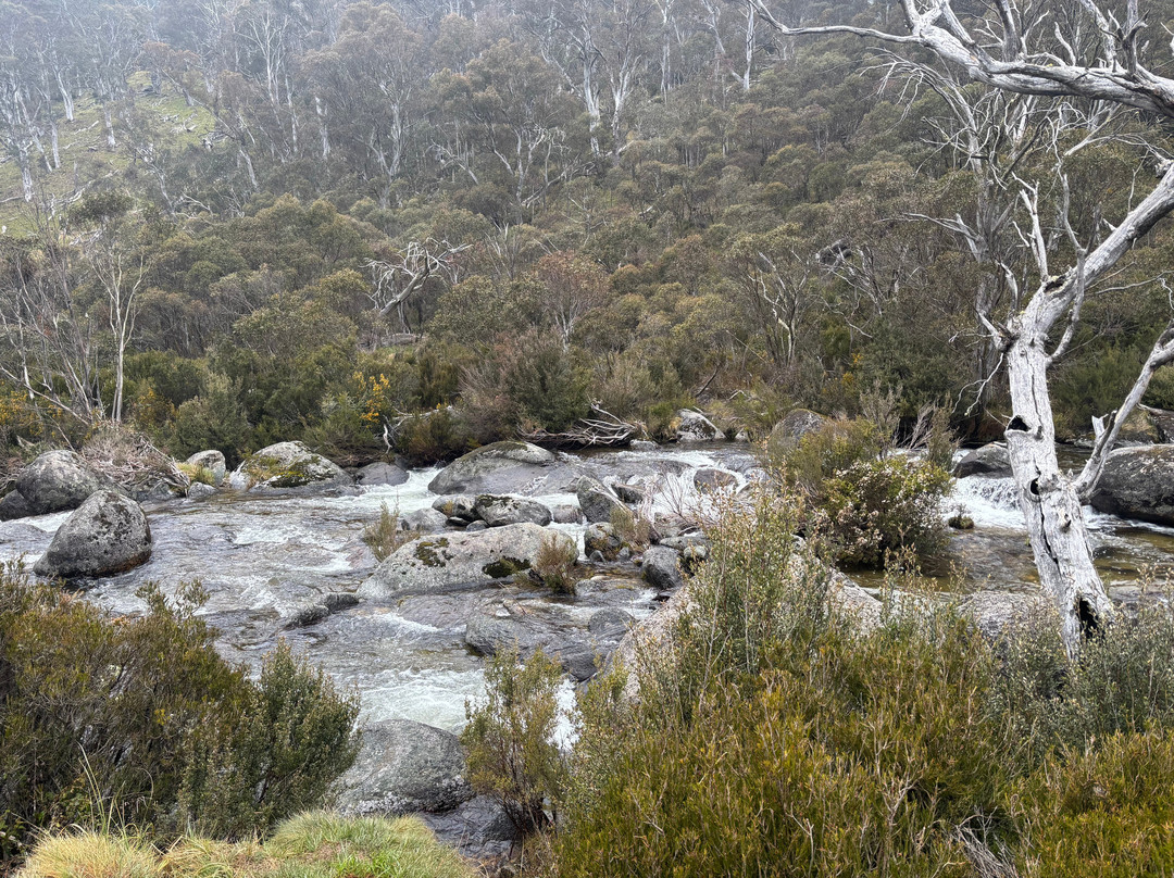 GirlsTrek-布里斯班必去景点