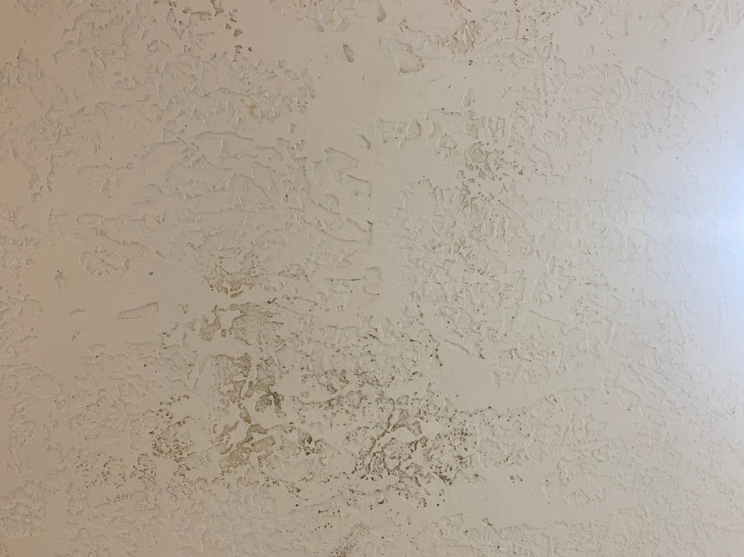 Holiday Inn Express & Suites Grants - Milan by IHG主图