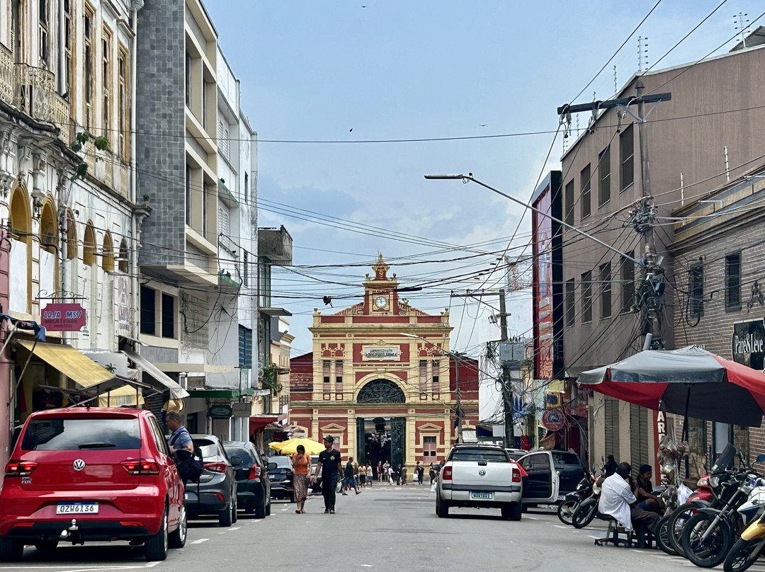 Adolpho Lisboa Municipal Market-玛瑙斯必去景点