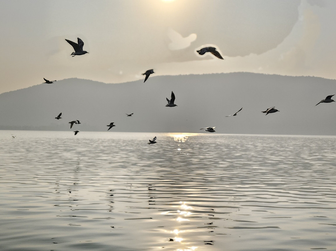 Debrigarh Wildlife Sanctuary-Sambalpur必去景点