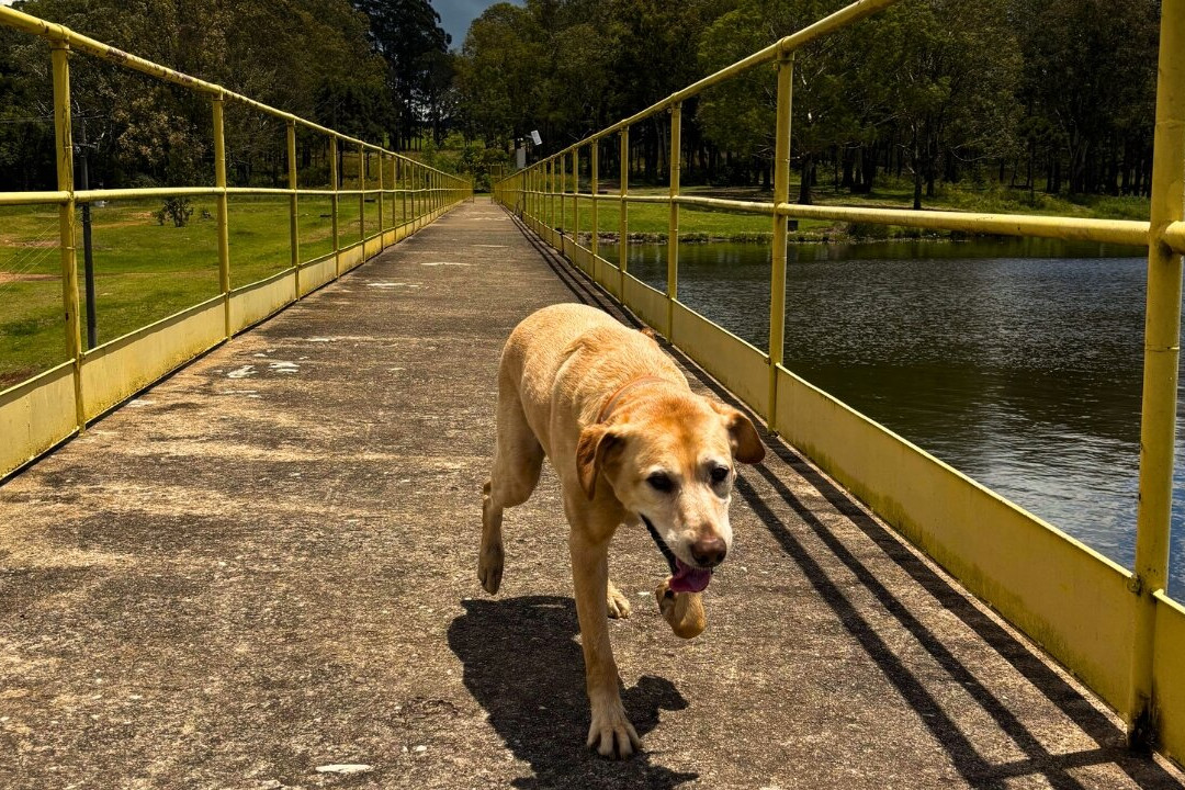 Barragem do Divisa-Sao Francisco de Paula必去景点
