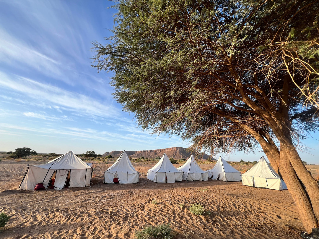 Caravane Renard du Desert-迈哈米德必去景点