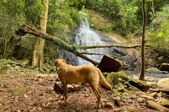 Fazenda Wolff-Rolante必去景点