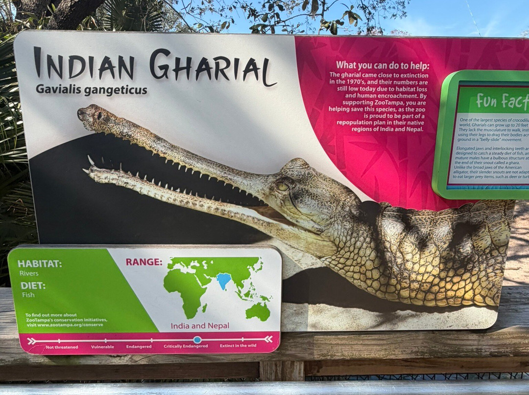 Lowry Park-坦帕必去景点