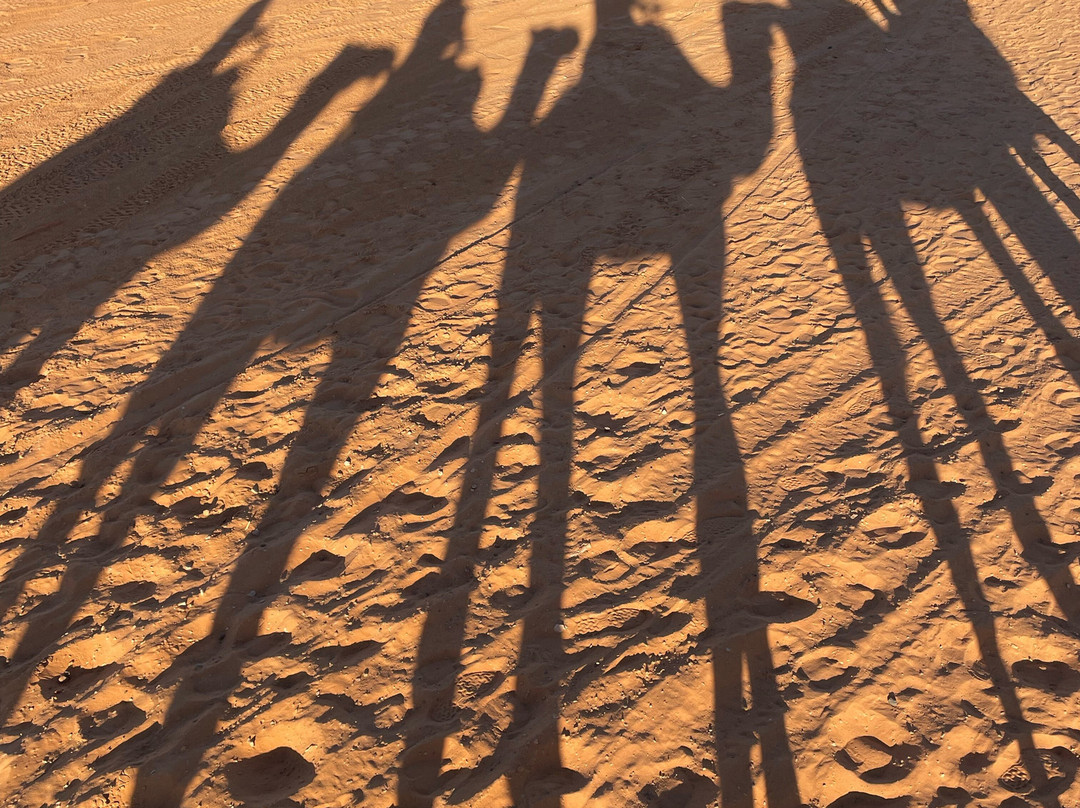 Viaja a Marruecos-丹吉尔必去景点