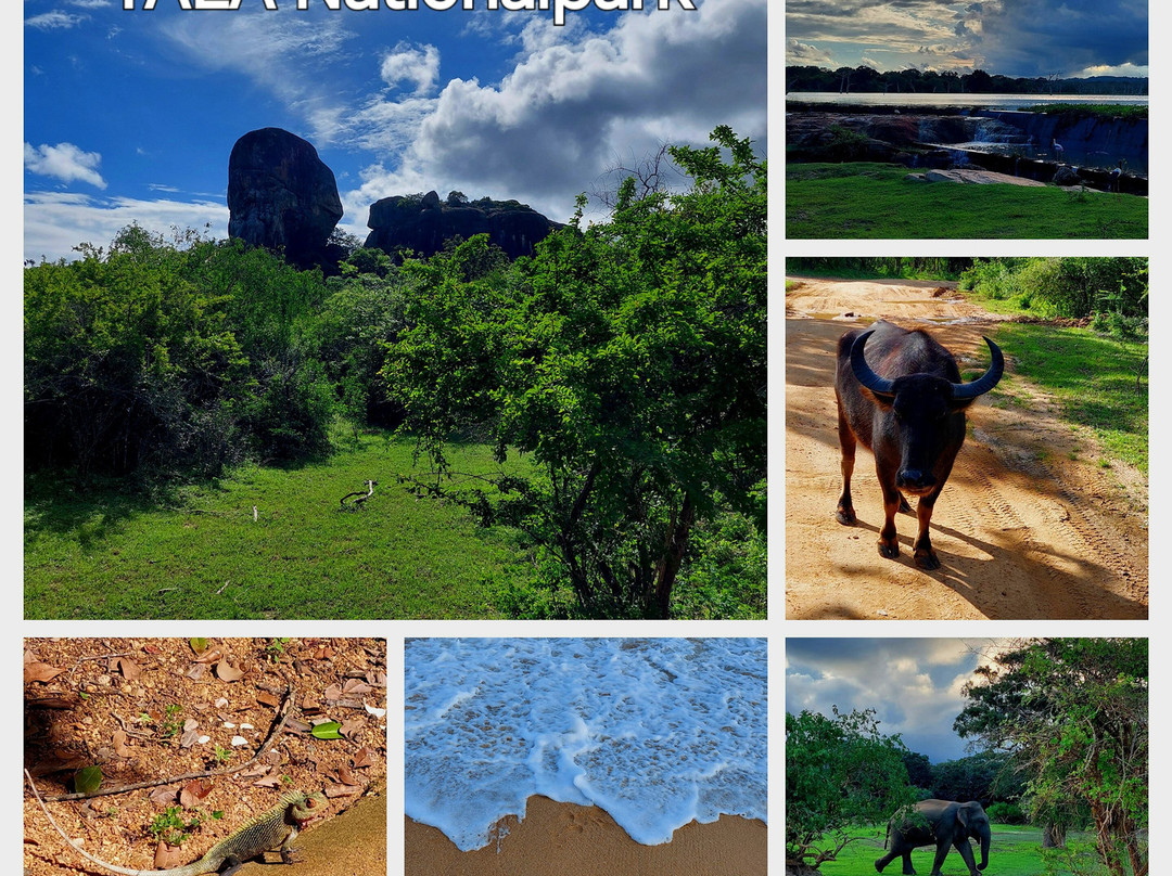 Sammy Reisen-班托塔必去景点