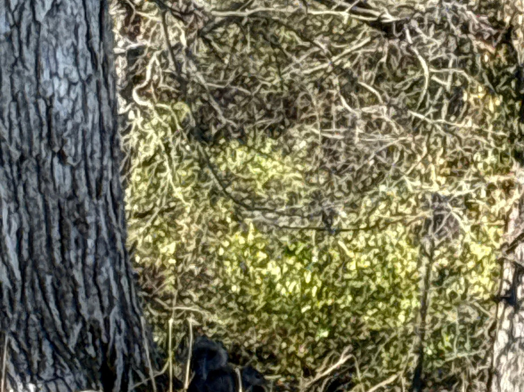 Stephens Lake Park-哥伦比亚市必去景点