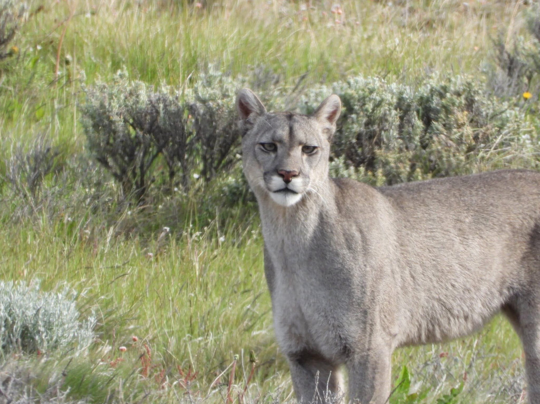 Iso100 Outdoor-Torres del Paine必去景点