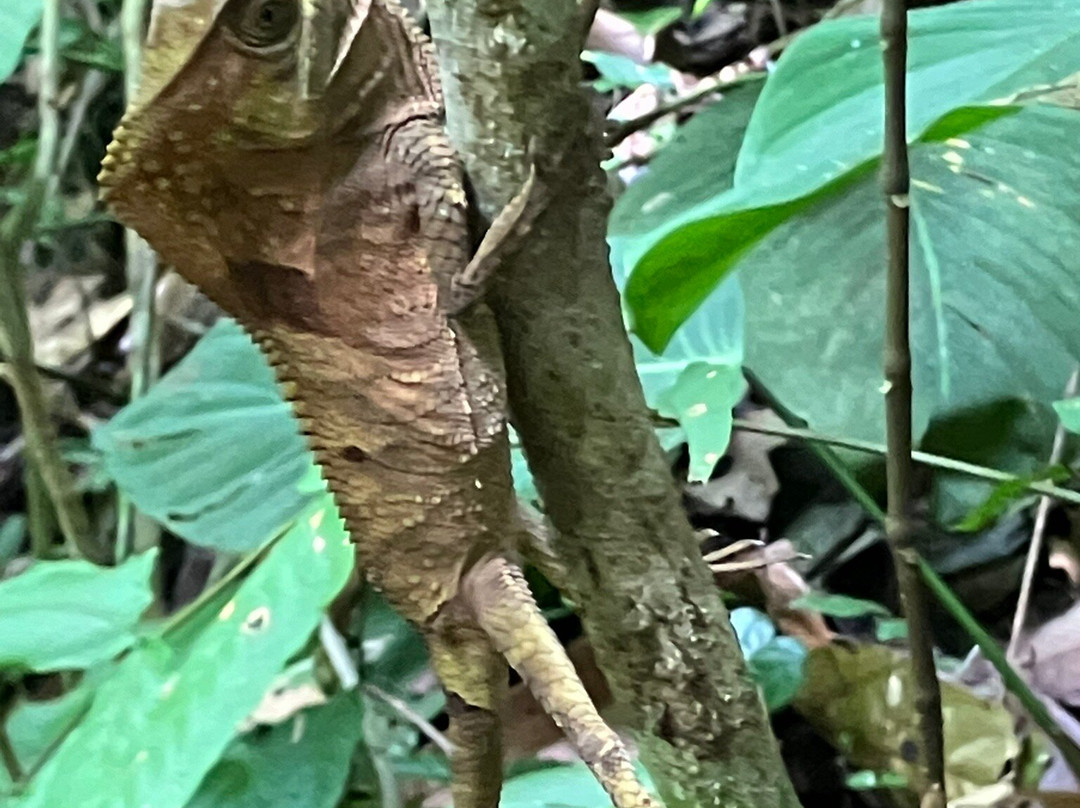 Santa Lucia Falls-乌维塔必去景点