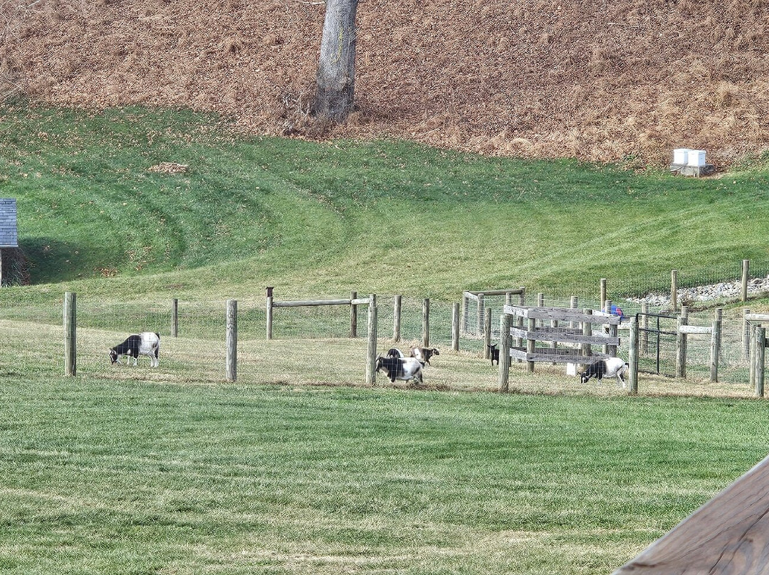 Stone View Farm-Darlington必去景点