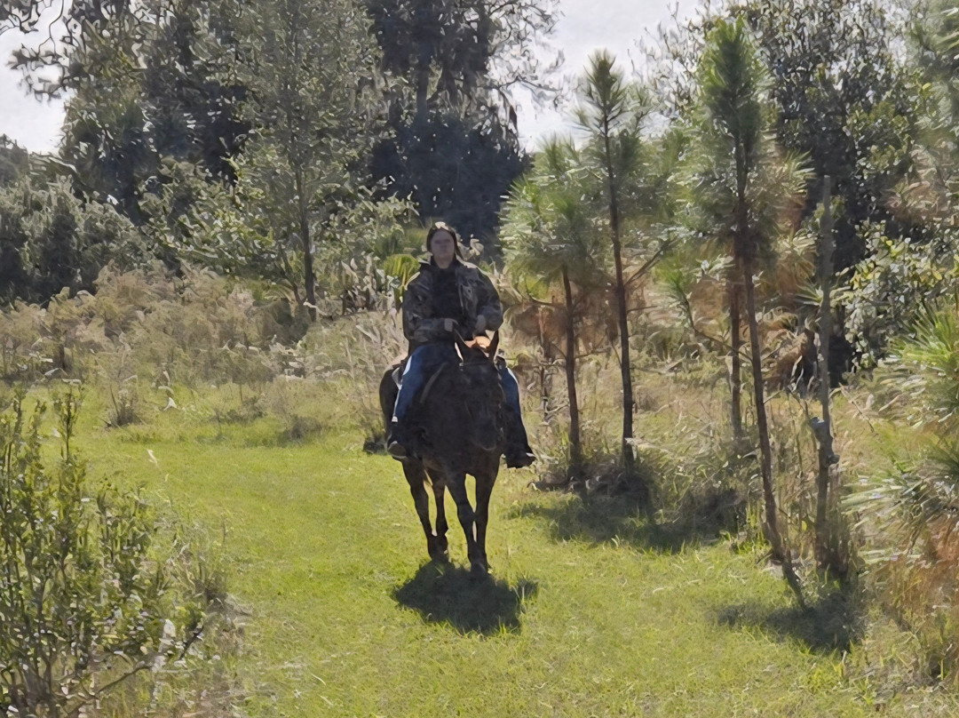 Wagon Wheel Horse Farm-奥基乔比必去景点