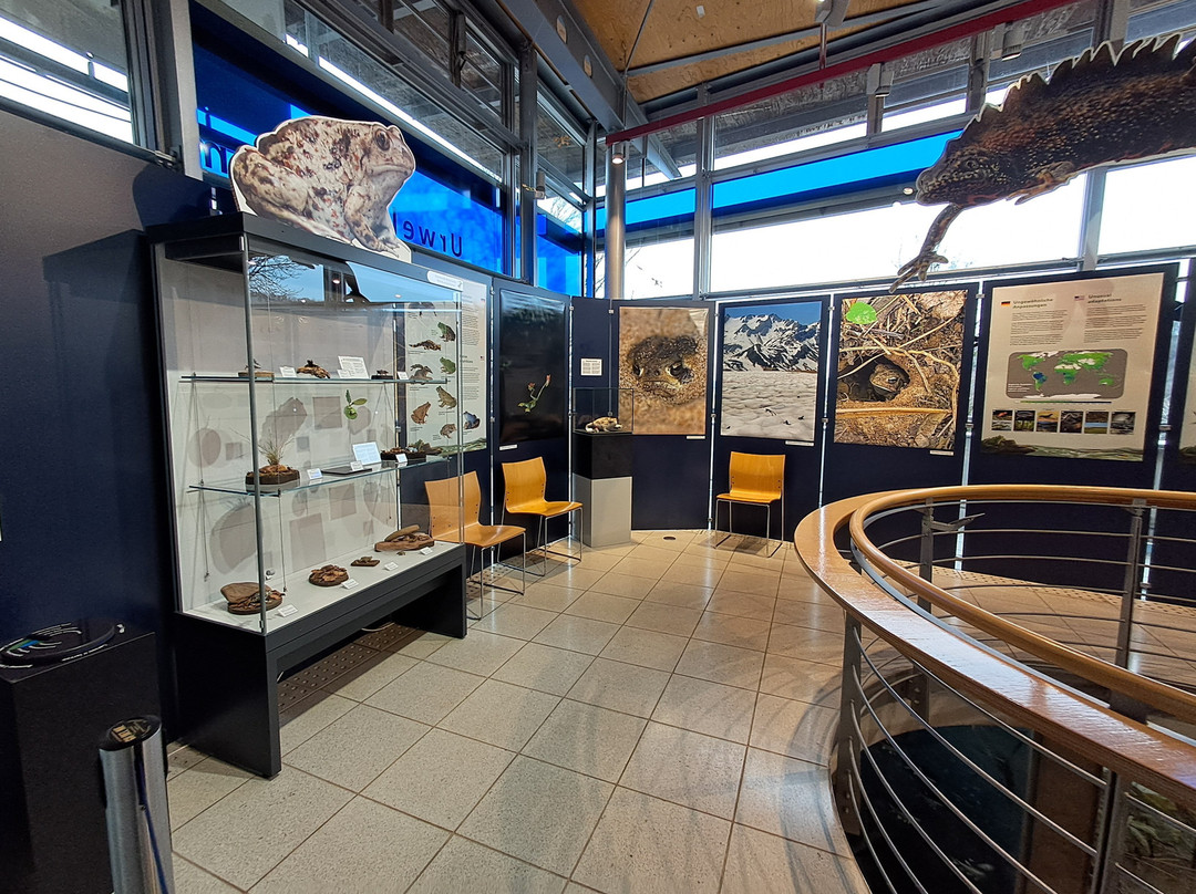 Burg Lichtenberg-Thallichtenberg必去景点