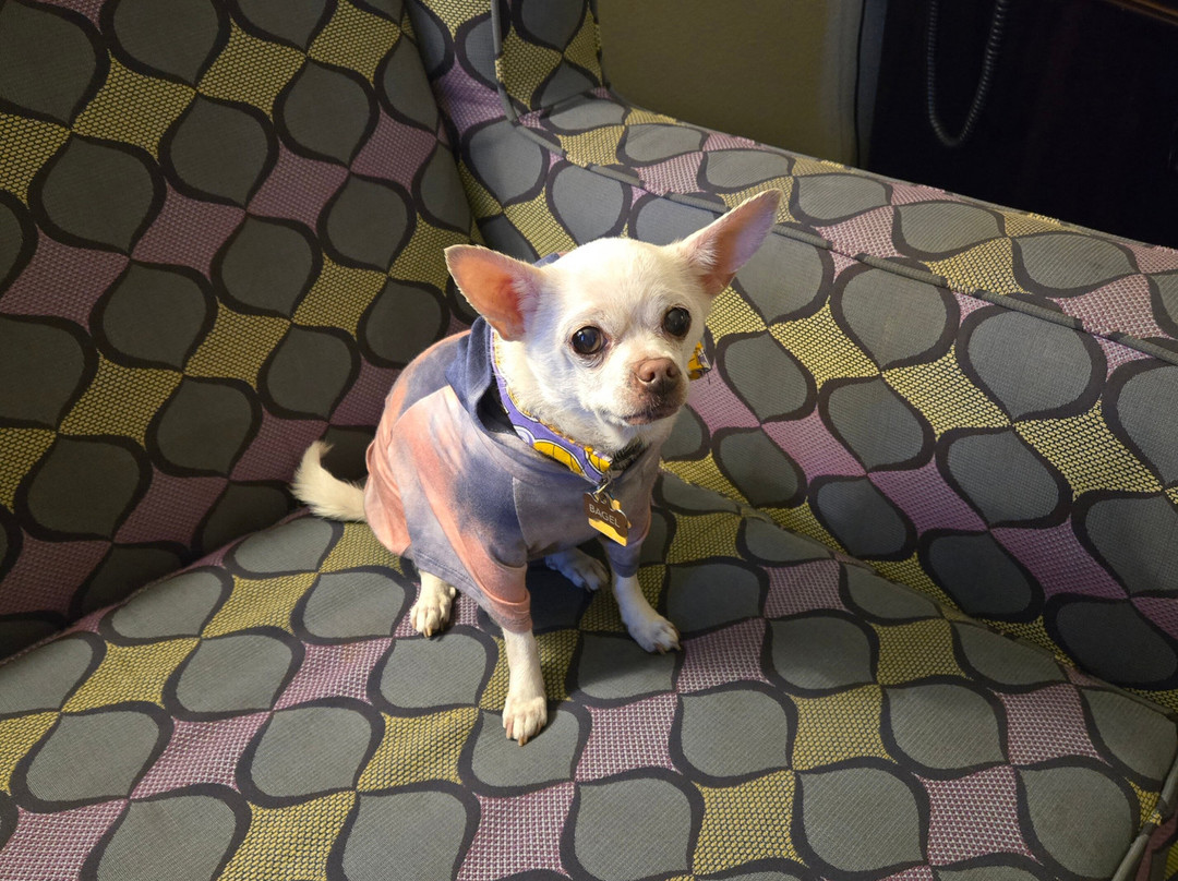 普莱森顿都柏林拉金塔旅馆及套房酒店主图