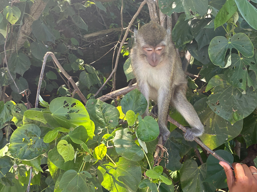 Belinda Boat Tour-贝尔马尔必去景点