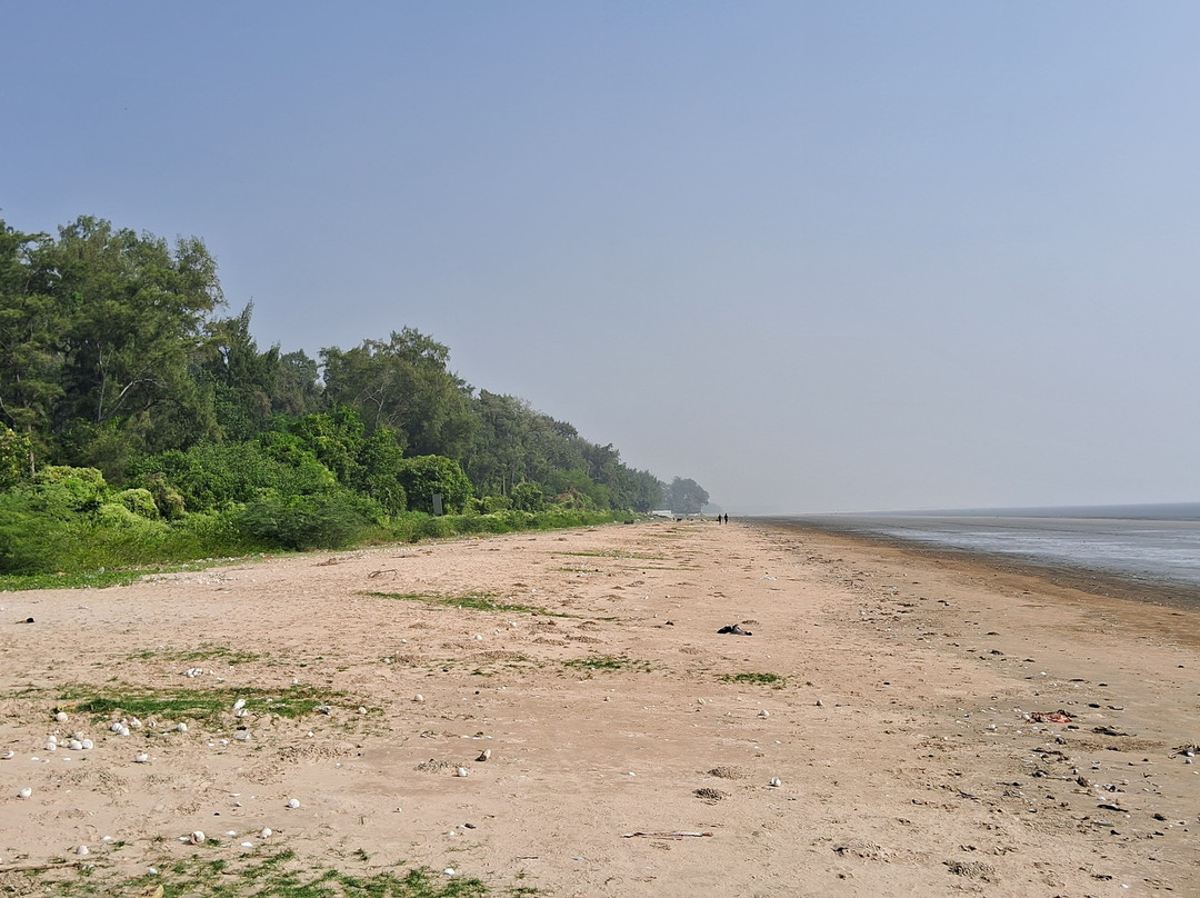 Chandipur Beach-Balasore必去景点
