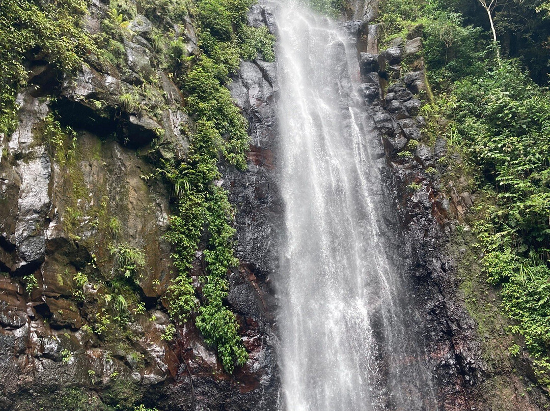 Omali Sao Tome主图