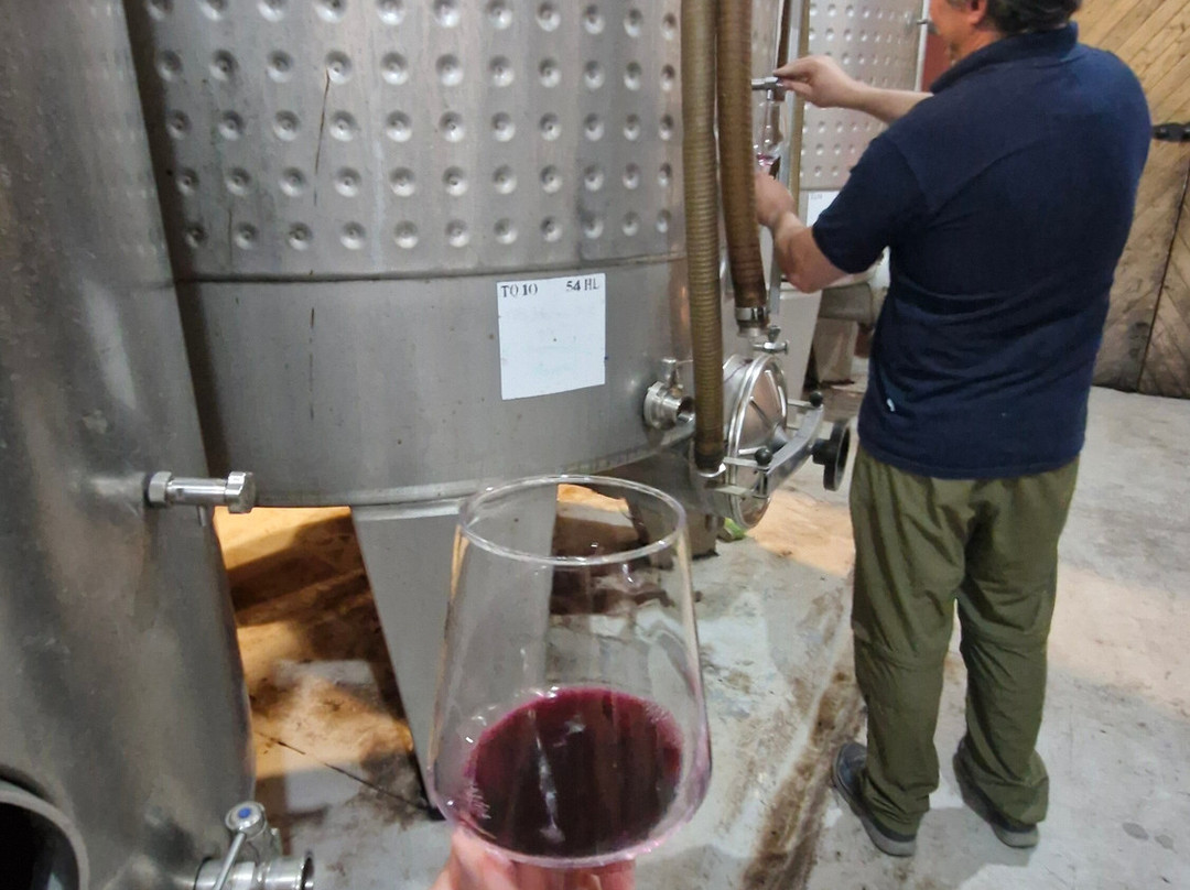 Bodega Hacienda del Plata-路冉得库约必去景点