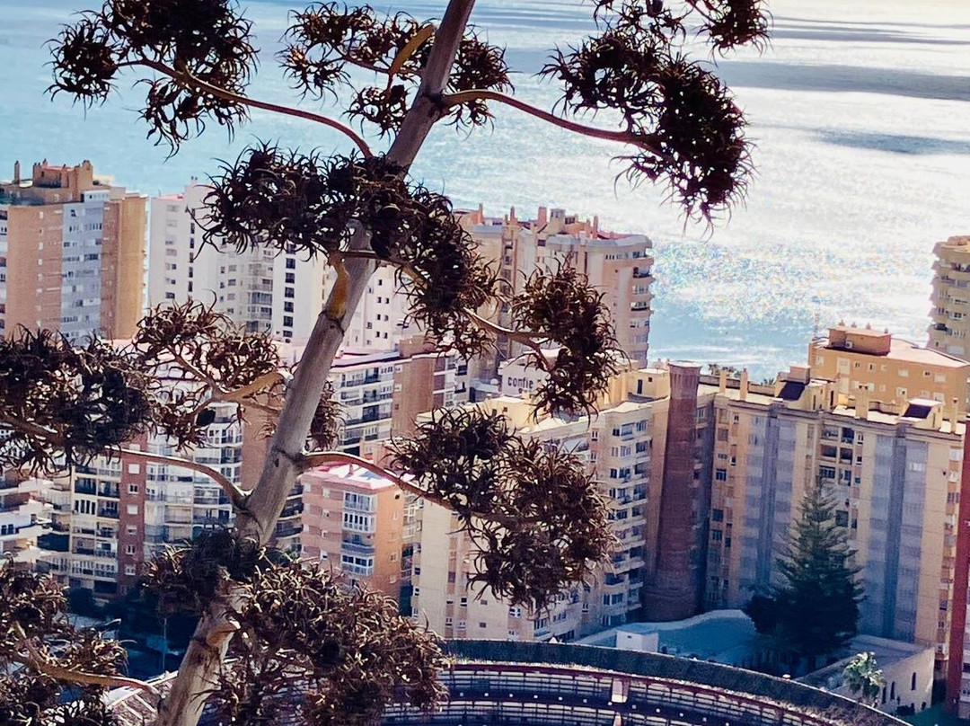 Mirador del Gibralfaro-马拉加必去景点